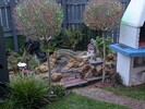 PXL_20251220_152745793.jpg