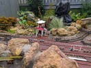 PXL_20251221_114819389.MP.jpg