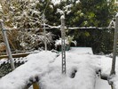 IMG_20260103_134656882.jpg
