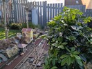 PXL_20260107_123643013.jpg