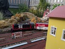 PXL_20260114_115844441.jpg