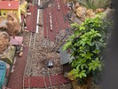 PXL_20260115_142134157.jpg