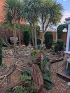 PXL_20260115_104437610.jpg