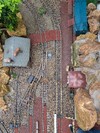 PXL_20260125_134754965.jpg