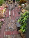 PXL_20260125_134951019.jpg