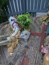 PXL_20260129_162049099.jpg