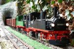 Garden railway photos 575 (Large).jpg