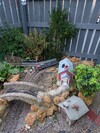 PXL_20260131_162623373.jpg
