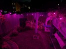 PXL_20260131_180213025.jpg