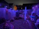 PXL_20260130_215651699.NIGHT.jpg