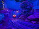 PXL_20260201_172815573.NIGHT.jpg