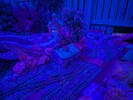 PXL_20260201_173018759.NIGHT.jpg