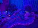 PXL_20260201_173257878.NIGHT.jpg