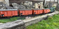 IMG_3187.jpeg