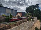 IMG_20260215_163501689_HDR.jpg