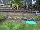 IMG_2342.jpeg