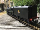 IMG_6508.jpeg IMG_6508.jpeg