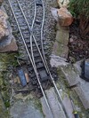 PXL_20260317_100956620.jpg