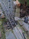 PXL_20260317_101019719.jpg