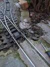 PXL_20260317_101149127.jpg
