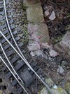 PXL_20260317_101344492.jpg