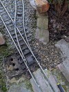 PXL_20260317_101546114.jpg