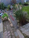 PXL_20260317_103434600.jpg