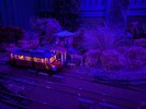 PXL_20260317_204655143.jpg