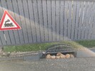 PXL_20260319_145502607.jpg