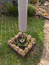 PXL_20260319_151400675.jpg
