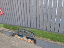 PXL_20260319_164619972.jpg