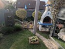 PXL_20260319_164655458.jpg