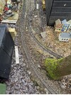 IMG_2427.jpeg