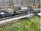 IMG_3335.jpeg IMG_3335.jpeg