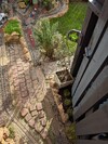 PXL_20260324_153001050.jpg
