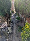 PXL_20260403_150442498.jpg