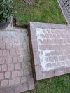 PXL_20260402_181311426.jpg
