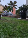 PXL_20260402_181727140.jpg