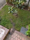 PXL_20260404_070647641.jpg