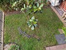 PXL_20260404_070714759.jpg