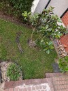 PXL_20260404_070741662.jpg