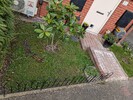 PXL_20260404_070814893.jpg