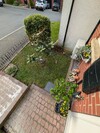 PXL_20260404_070859231.jpg