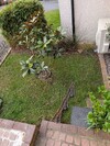 PXL_20260404_071007191.jpg