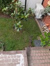 PXL_20260404_071027811.jpg
