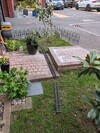PXL_20260404_180031076.jpg