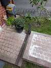 PXL_20260404_180035267.jpg