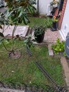 PXL_20260404_180044243.jpg