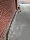 PXL_20260404_180047275.jpg