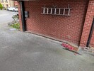 PXL_20260404_180126450.jpg